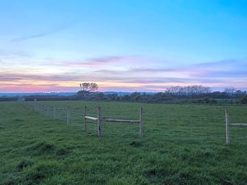 Site