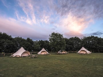 View of the glamping field