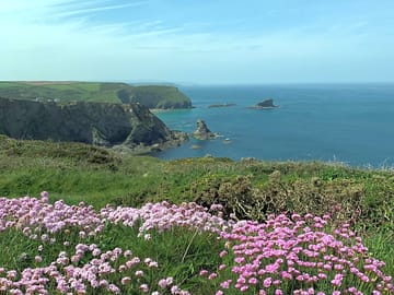 Coastal path