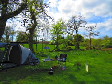 Grass pitches available in the main paddock or the marsh lands