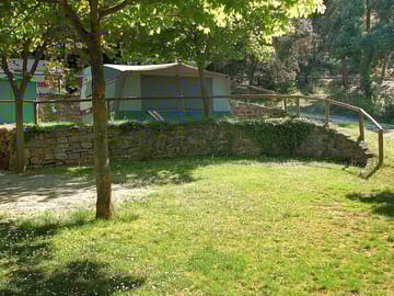 Spacious pitches with shade from the trees