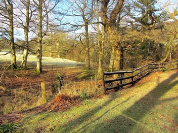 Woodland views all around