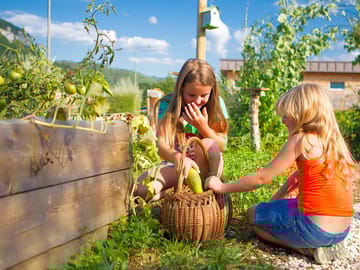 Beautiful garden