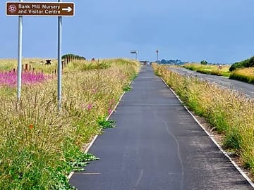 Getting to the site