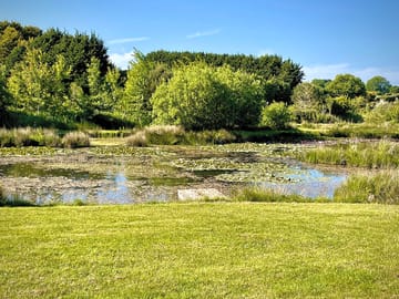 View from the hardstanding
