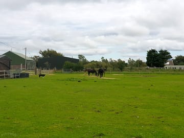 Around the site