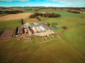 Aerial view of the farm