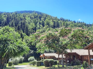 View from the site
