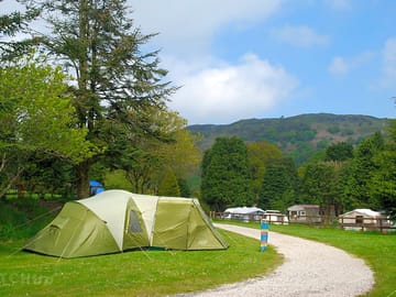Tent pitches