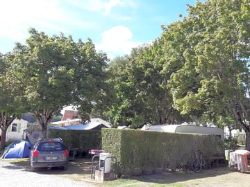 Pitches surrounded by hedges and trees