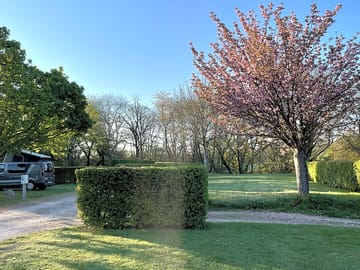 Trees and hedges all around
