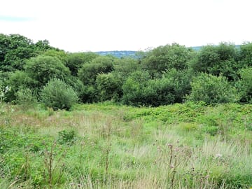 Many acres to explore