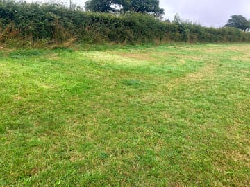 Camping field