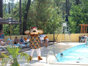 The swimming pool