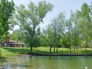Lake view