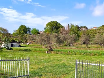 field