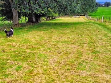 Top camping field