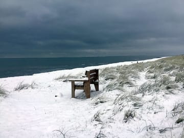 The beach in winter