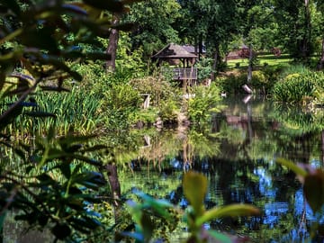 Woodland lakes