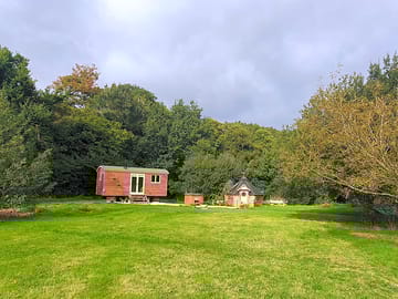 Tree-sheltered meadow