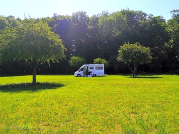 Spacious pitches with shaded areas