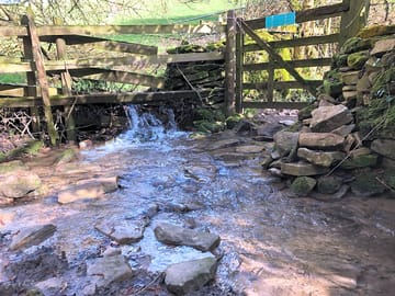 Plenty of local walks through woodland, streams and farmland