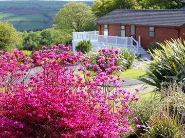 Valley view, surrounded by garden