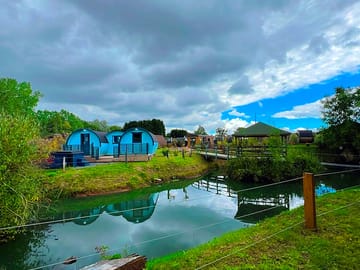 View of the pond