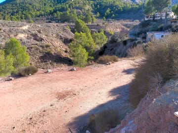 The site
