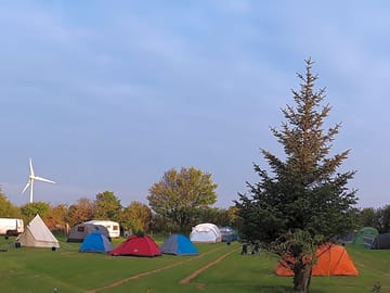 The pitch