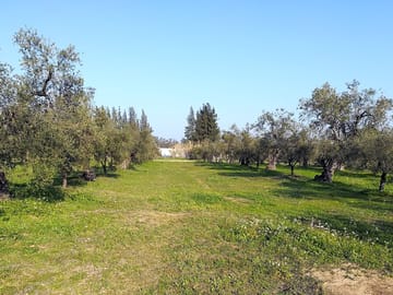 Pitches for tents and caravans