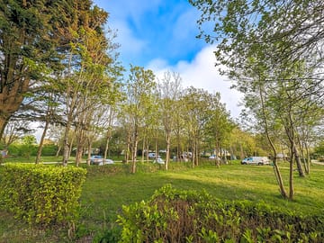 Grass pitches