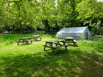 Woodland camp with beautiful secluded setting and tranquil scenery