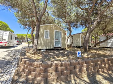 Boogie cabin