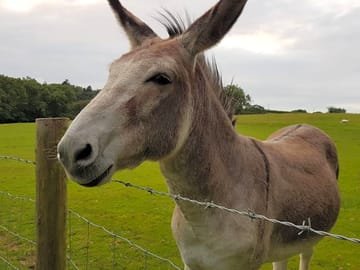 Friendly neighbours
