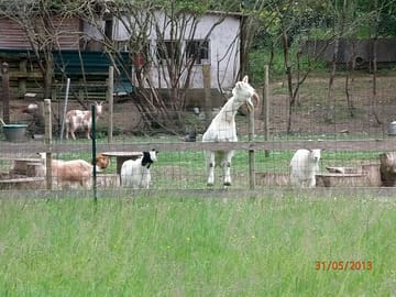 On-site mini farm