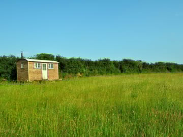 Surrounding field