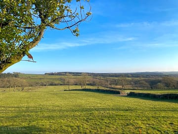 Camping on a working farm