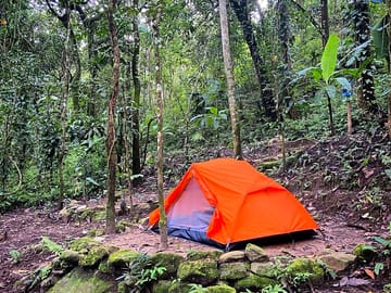 Forest pitches