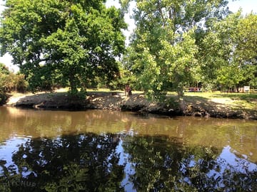 Free access to the pond