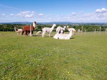 This is the front aspect view from all pitches at severn valley alpacas a view of the severn valley