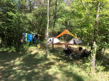 Pitches under the trees