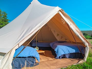 Looking into the tent