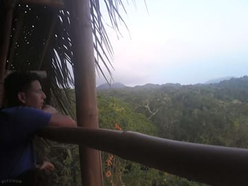 View over the forest