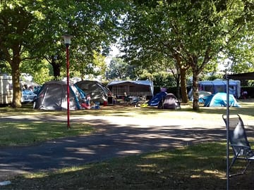 The site