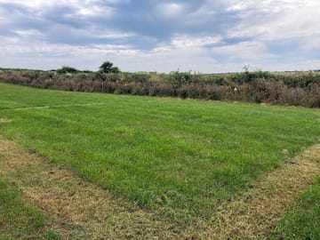 Pitches mowed out and marked with new tags
