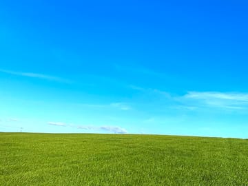 Open field