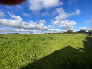 Grassy pitches