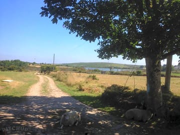 Animals are very free range, so drive slowly