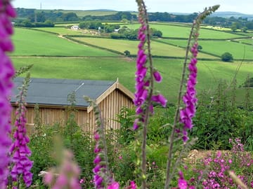 Hut through the flowers